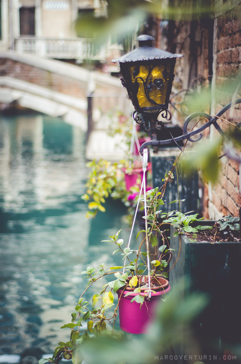 time capsule venice (1)