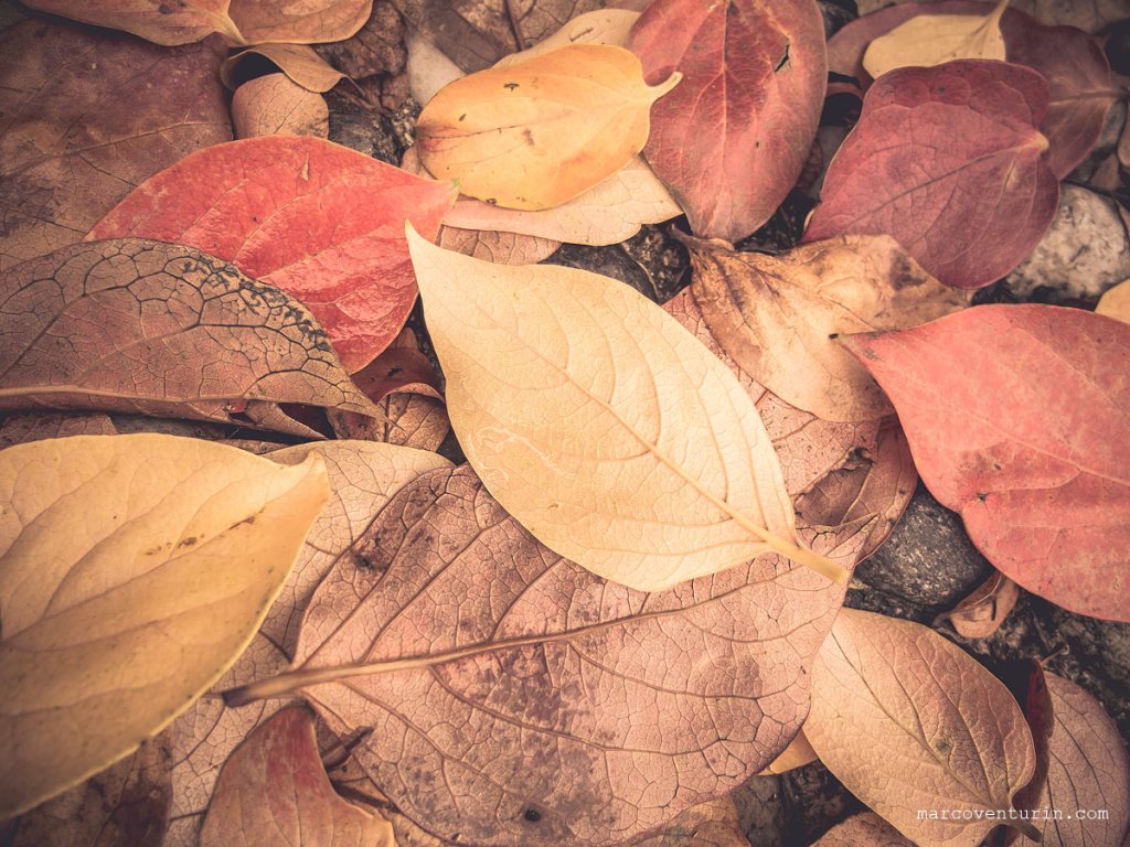 Riflessioni su fotografia e&nbsp;visione