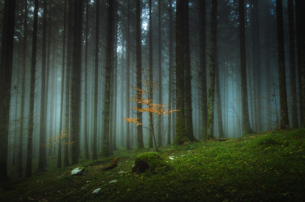 Una vecchia domanda.