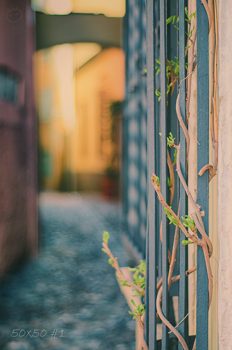 50×50 #1 – The&nbsp;beginning