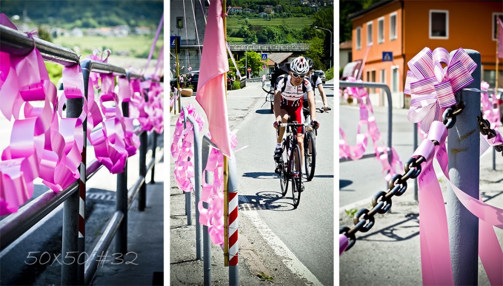 50×50 #32 The pink&nbsp;fever