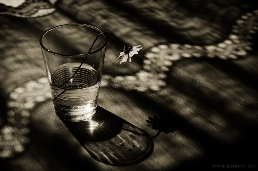 Scomposizione: the dark&nbsp;spring