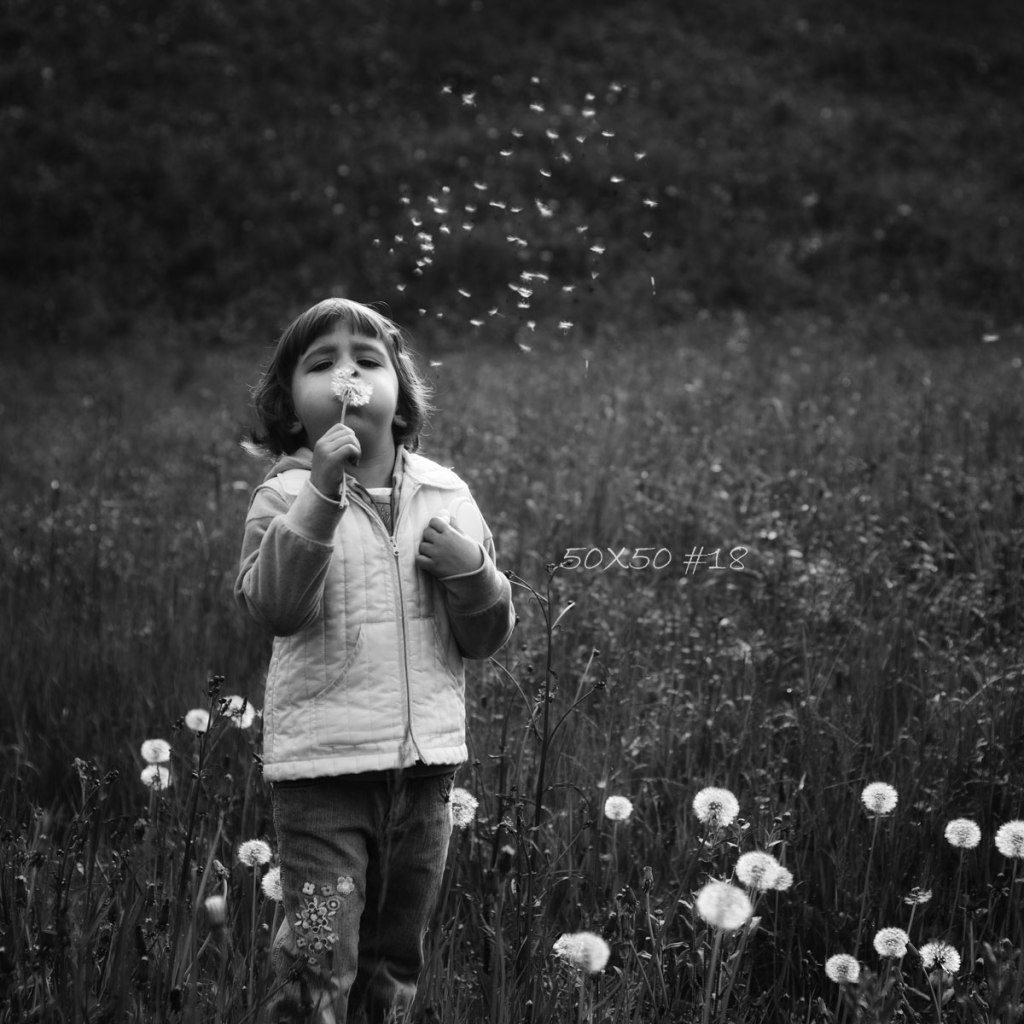 50×50 #18 Spring&nbsp;games