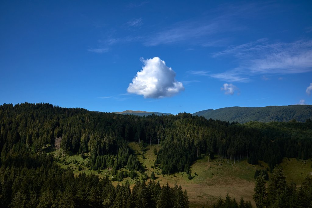 A spasso con colori&nbsp;nuovi