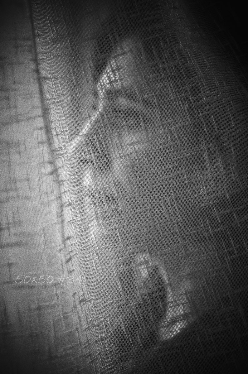 50×50 #34 Half an&nbsp;apple