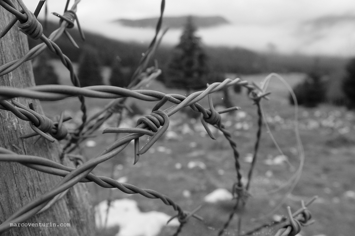 FujiX20 @7.1 ISO200 f4.0 1/200 "mono+red filter" mode