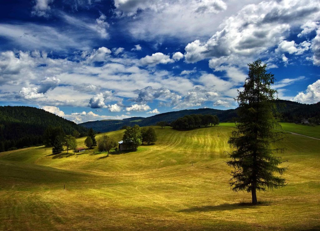 Impressionism of a midsummer&nbsp;day