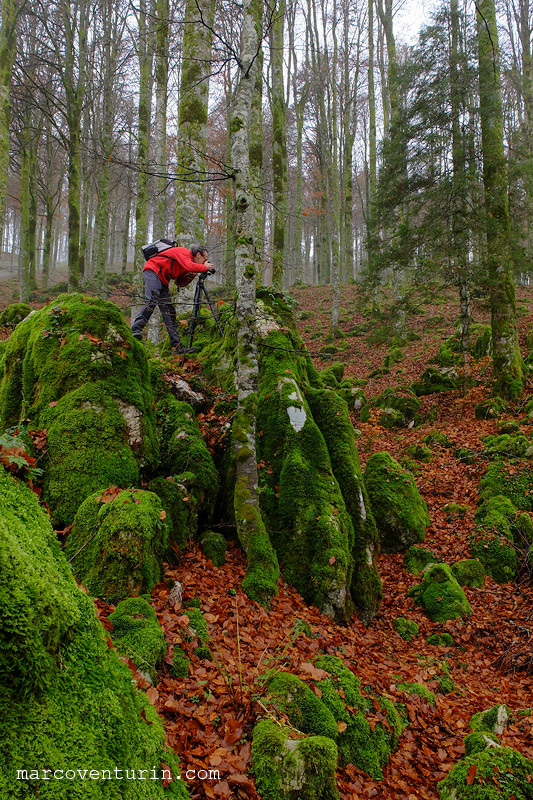 FujiX20 @7.1 ISO200 f4.0 1/100 velvia mode