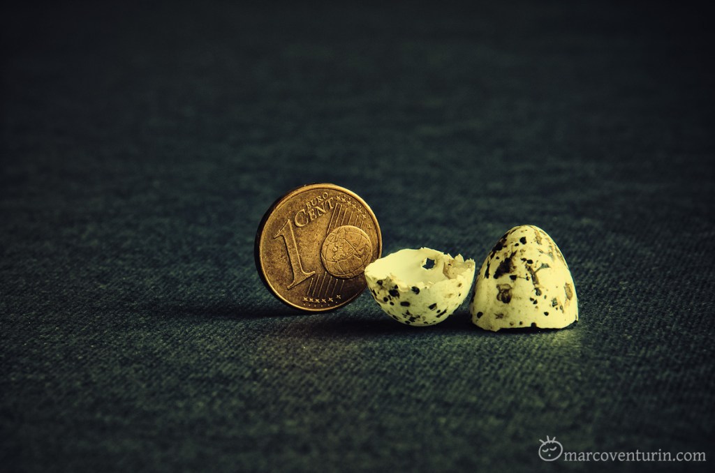 Un piccolo coinquilino