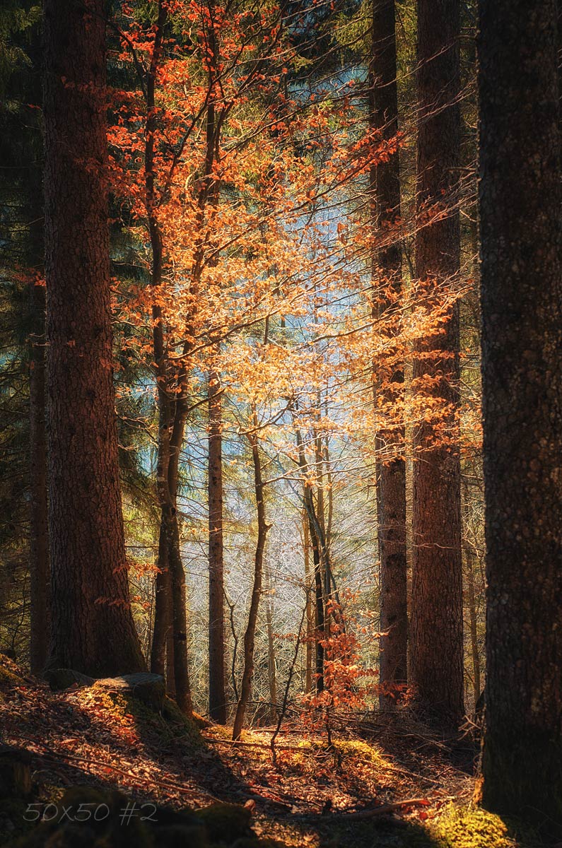 50×50 #2 –&nbsp;Vibration