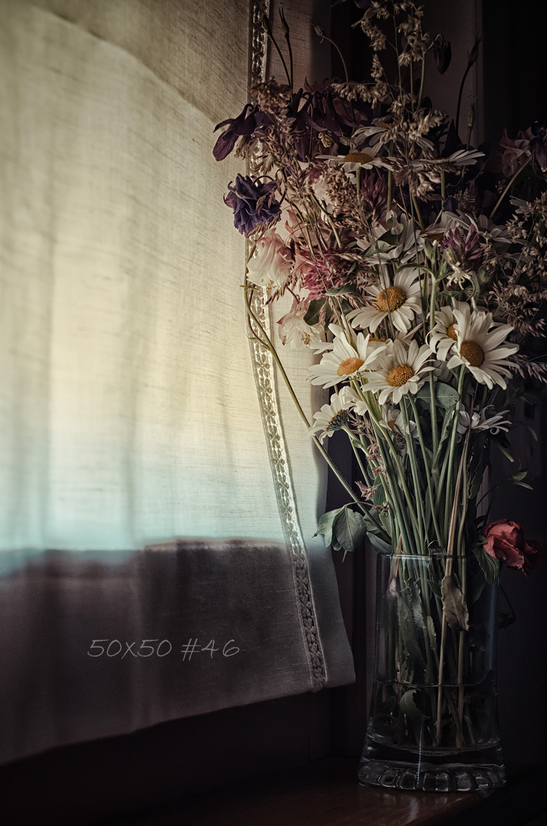 50×50 #46 A strange spring