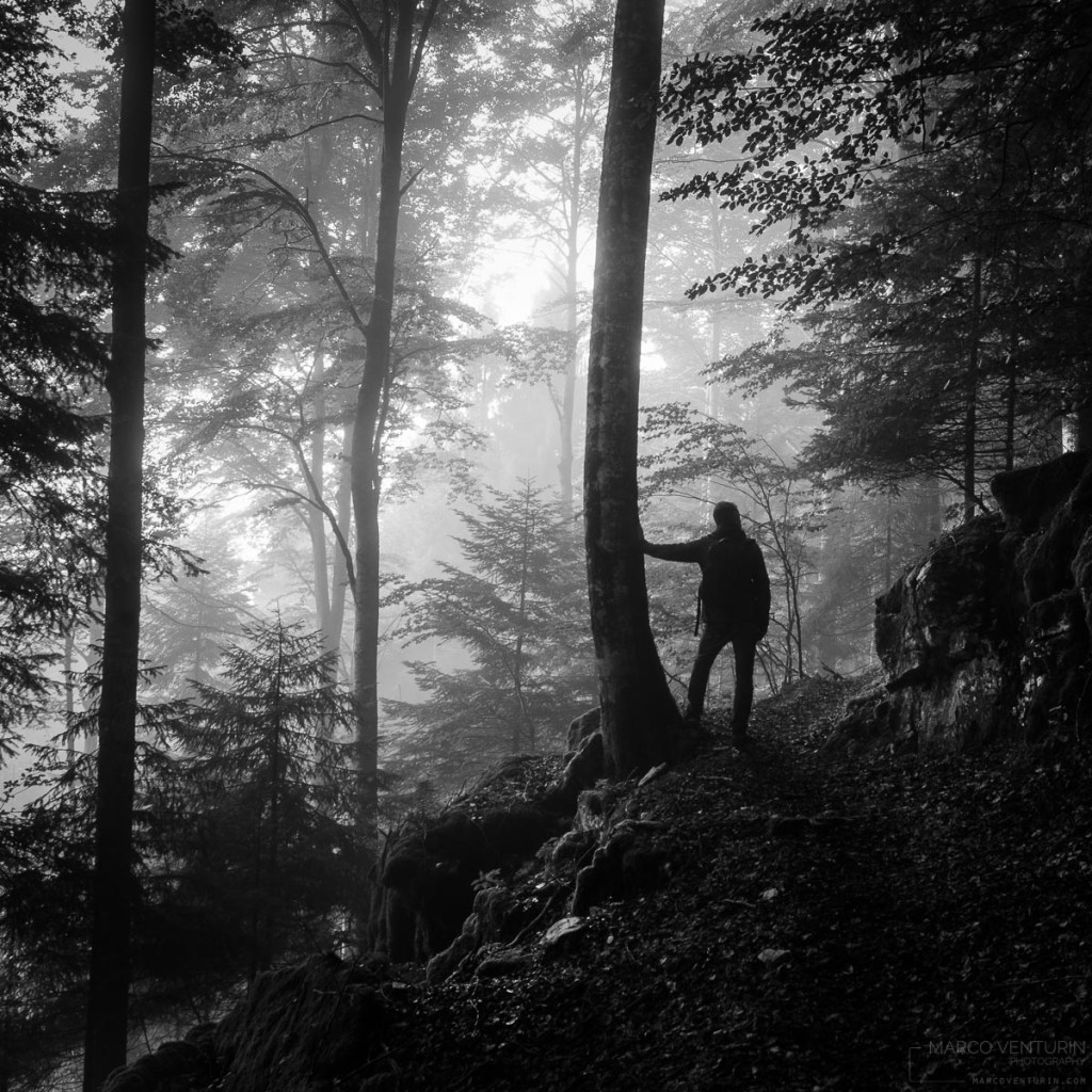 4/4 on the&nbsp;wood