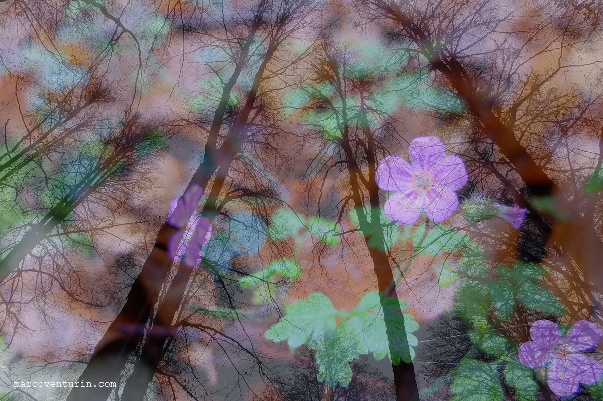 FujiX20 doppia esposizione