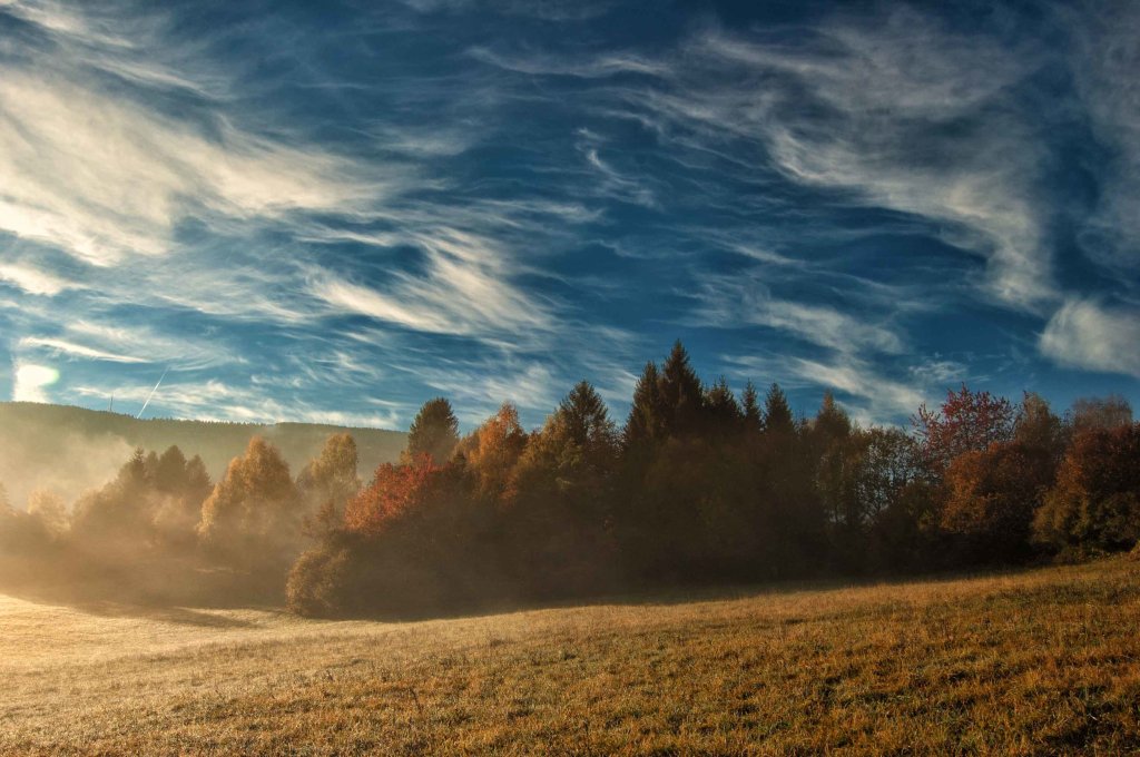 Perché alzarsi alle 6 del&nbsp;mattino?