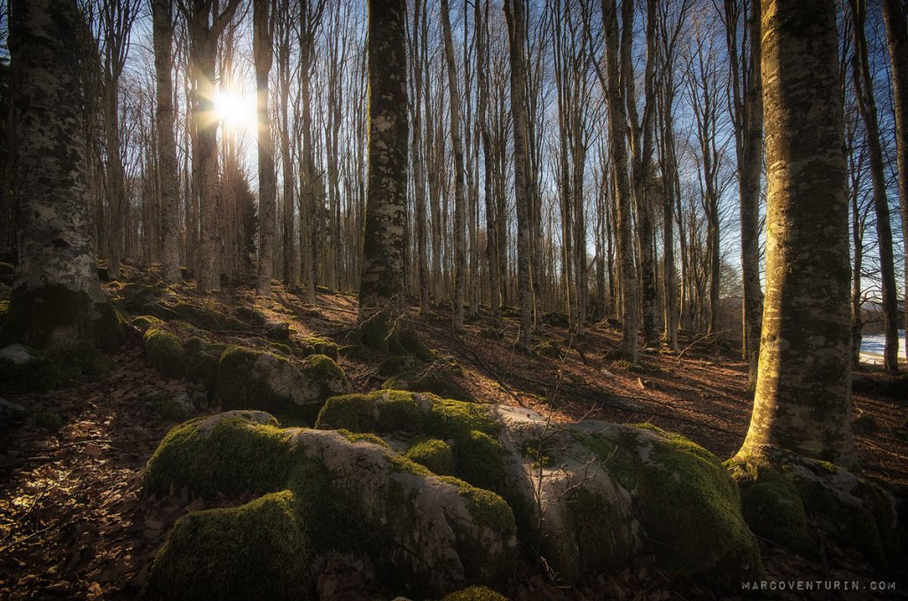 Looking for signs of&nbsp;life