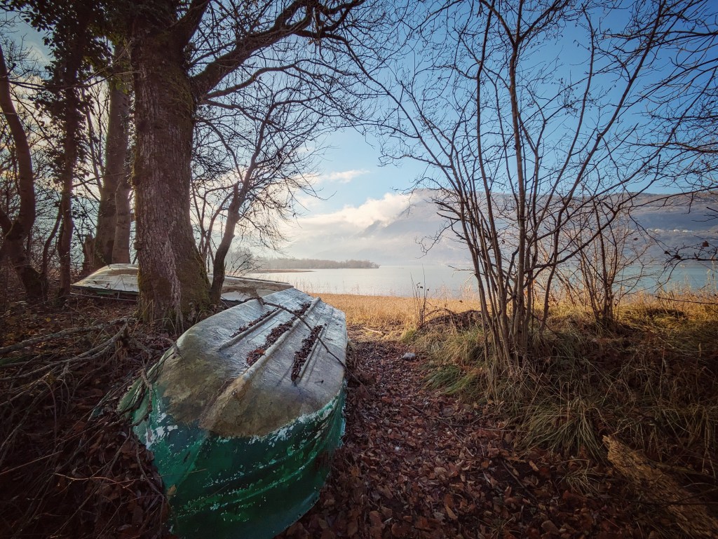 Dov’è la mia&nbsp;farina?